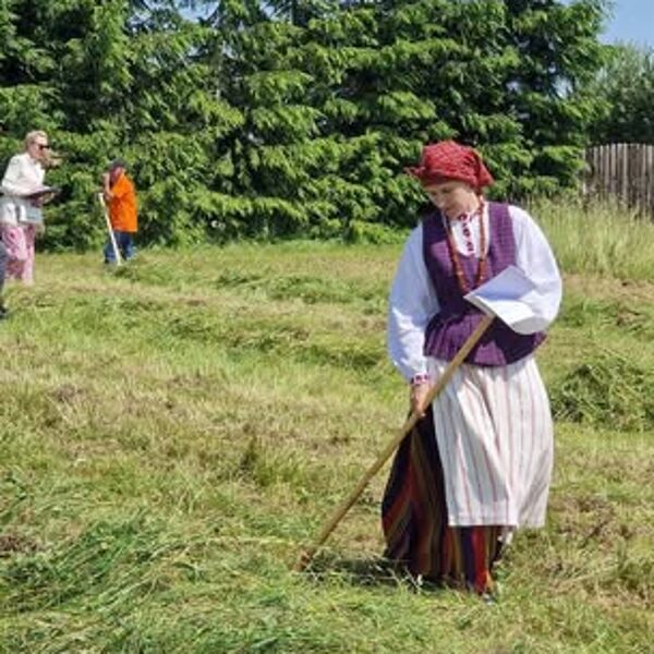 Nuo žolynų iki klojimo