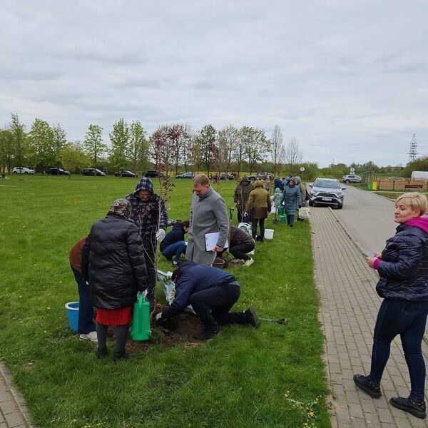 Sakurų parką sodinant